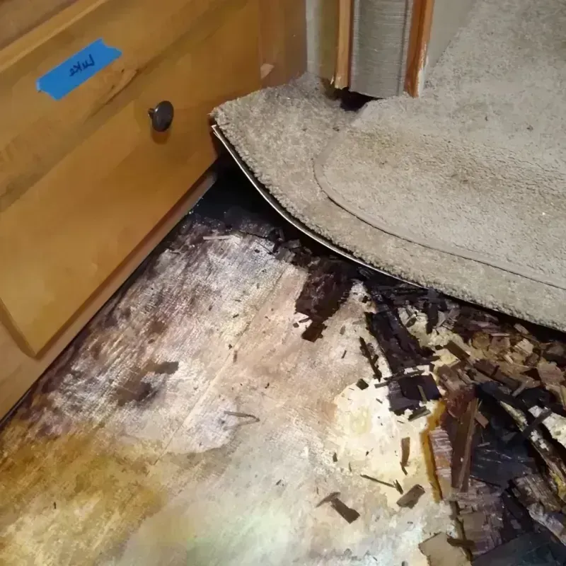 Wood Floor Water Damage in Oildale, CA